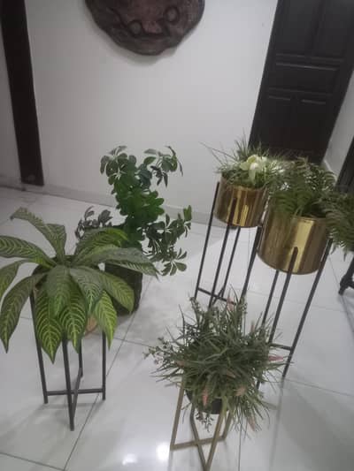 Artificial plants