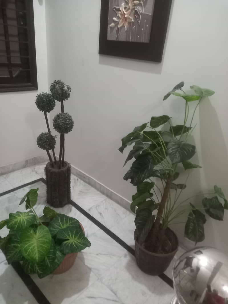 Artificial plants 1