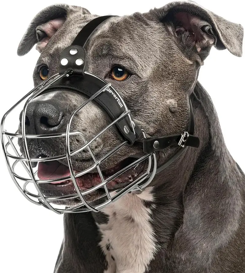 Large size dog-muzzle, Metal Mask — photo 5