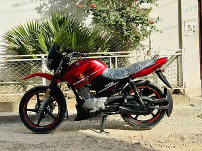 Yamaha YBR G 2019