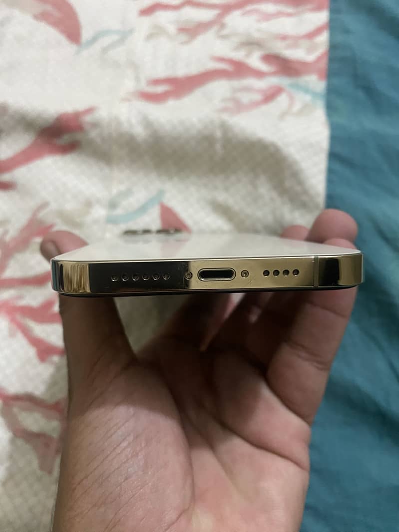 Apple iPhone 13 Pro Max 2