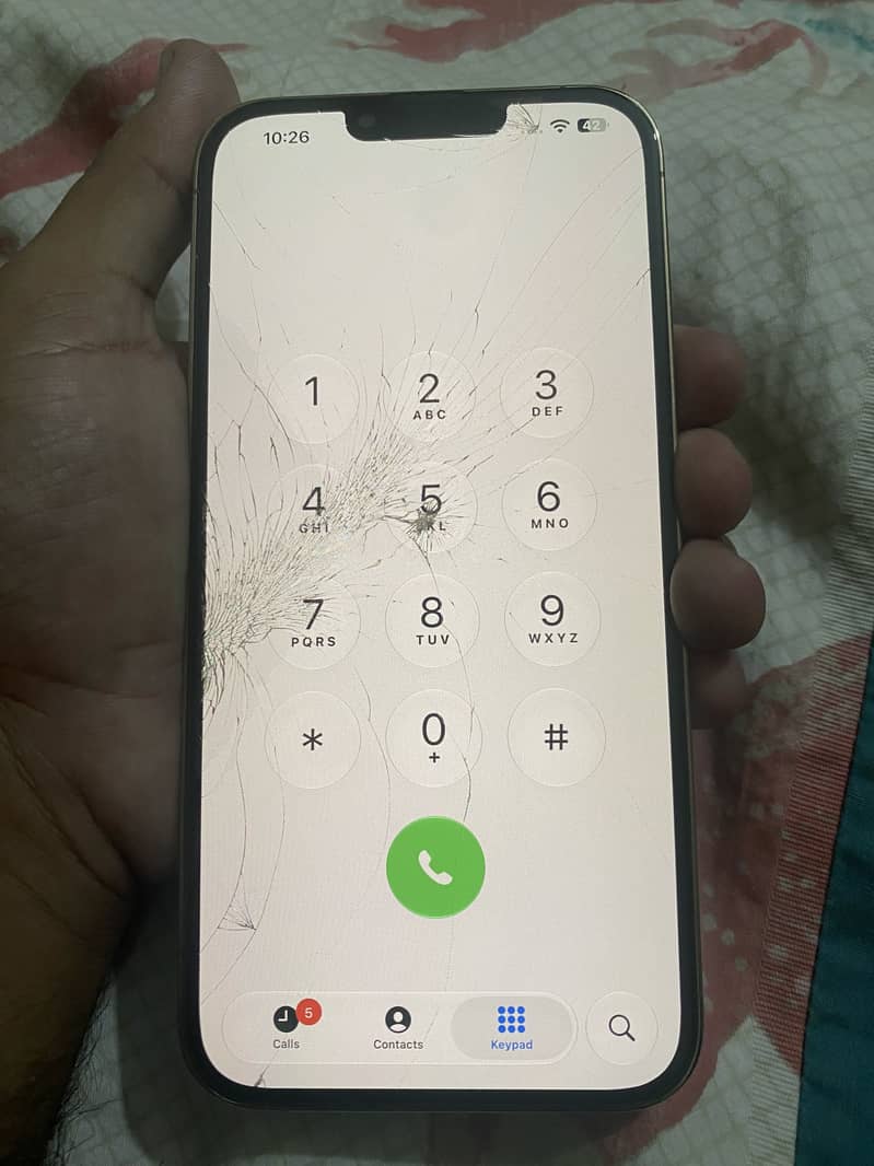 Apple iPhone 13 Pro Max 3