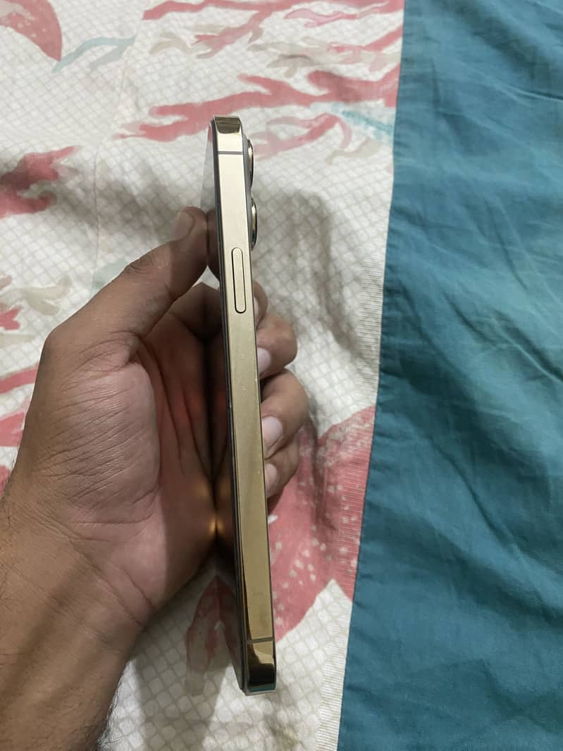 Apple iPhone 13 Pro Max 4
