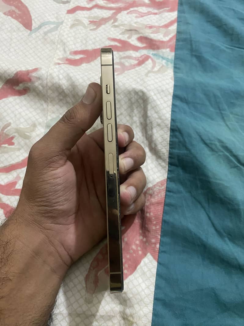 Apple iPhone 13 Pro Max 5