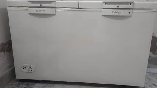 Haier Double Door Deep Freezer