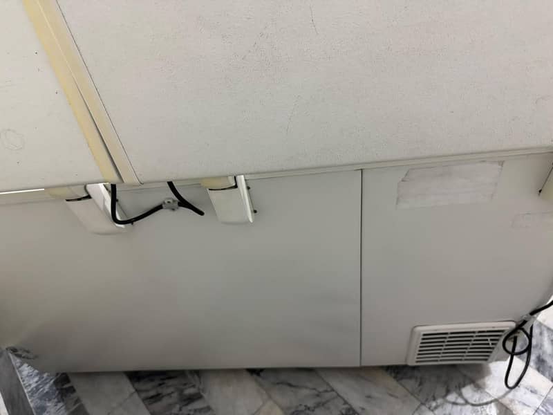 Waves Double Door Deep Freezer 4