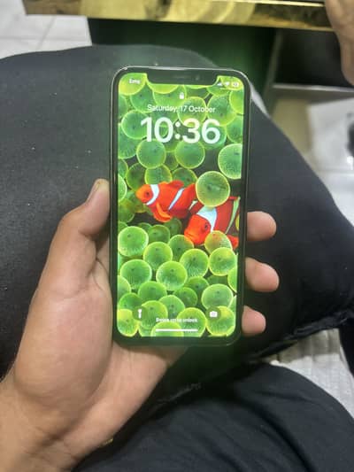 Apple iPhone X