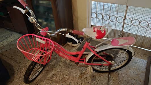 Alligator Cycle for Girl
