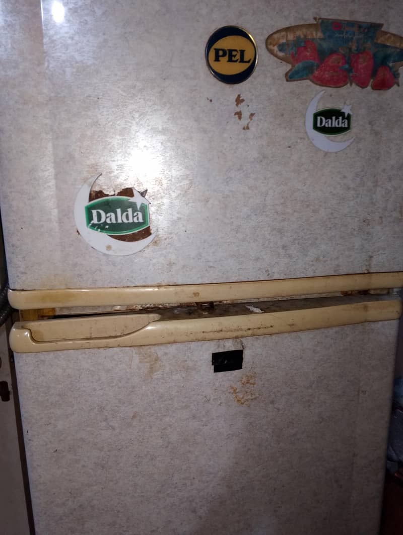 PEL Fridge 1
