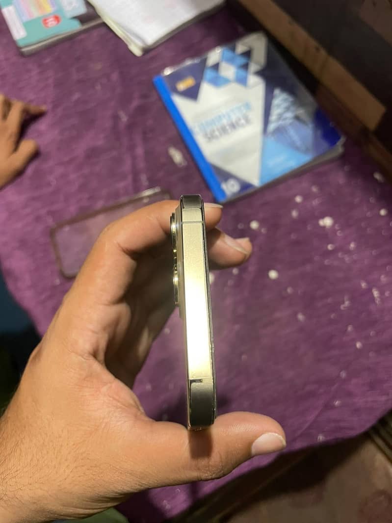 Apple iPhone 13 Pro Max 1