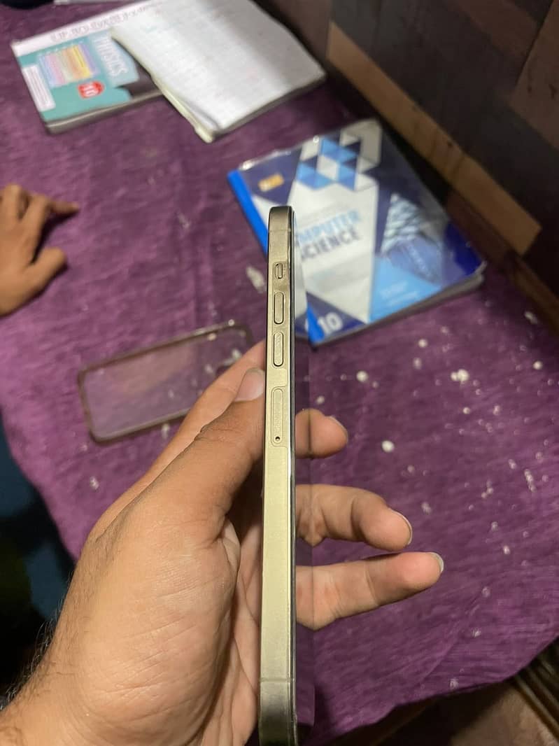 Apple iPhone 13 Pro Max 3