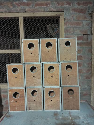 Wooden Box and Cage