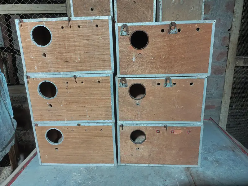 Wooden Box and Cage — photo 2