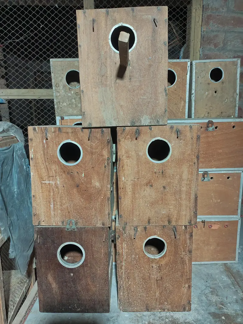 Wooden Box and Cage — photo 3