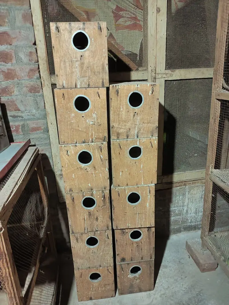 Wooden Box and Cage — photo 4
