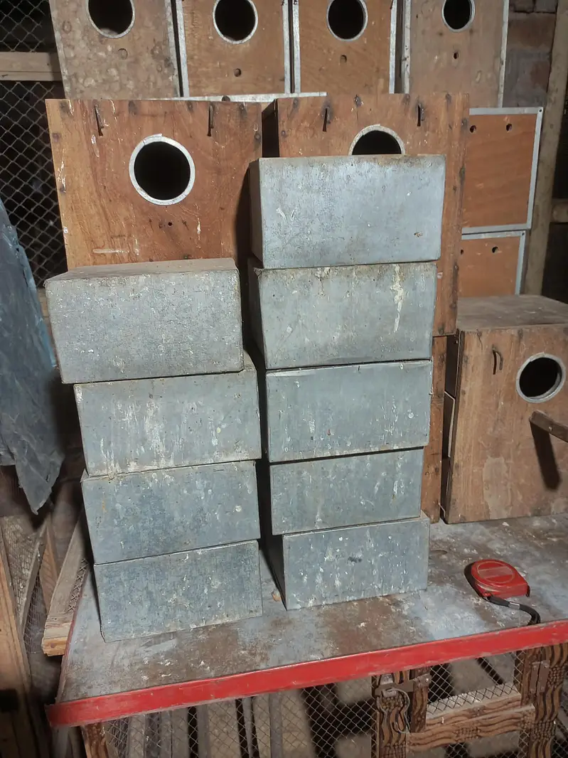 Wooden Box and Cage — photo 8