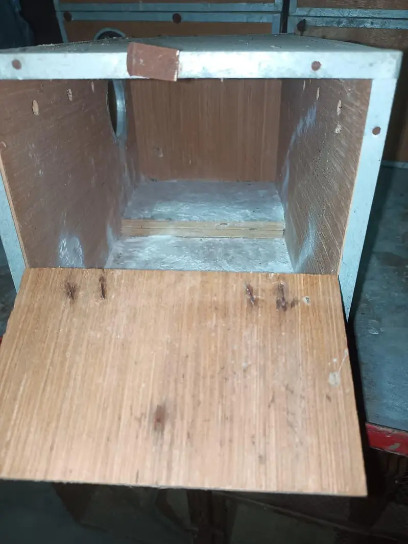 Wooden Box and Cage — photo 12
