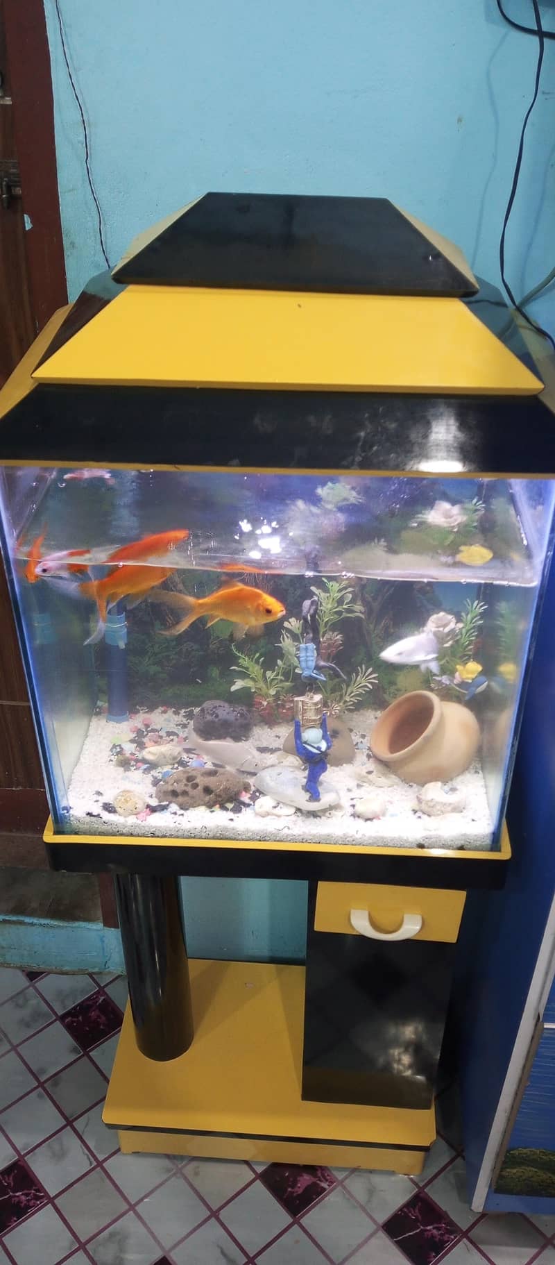 aquarium setup 1
