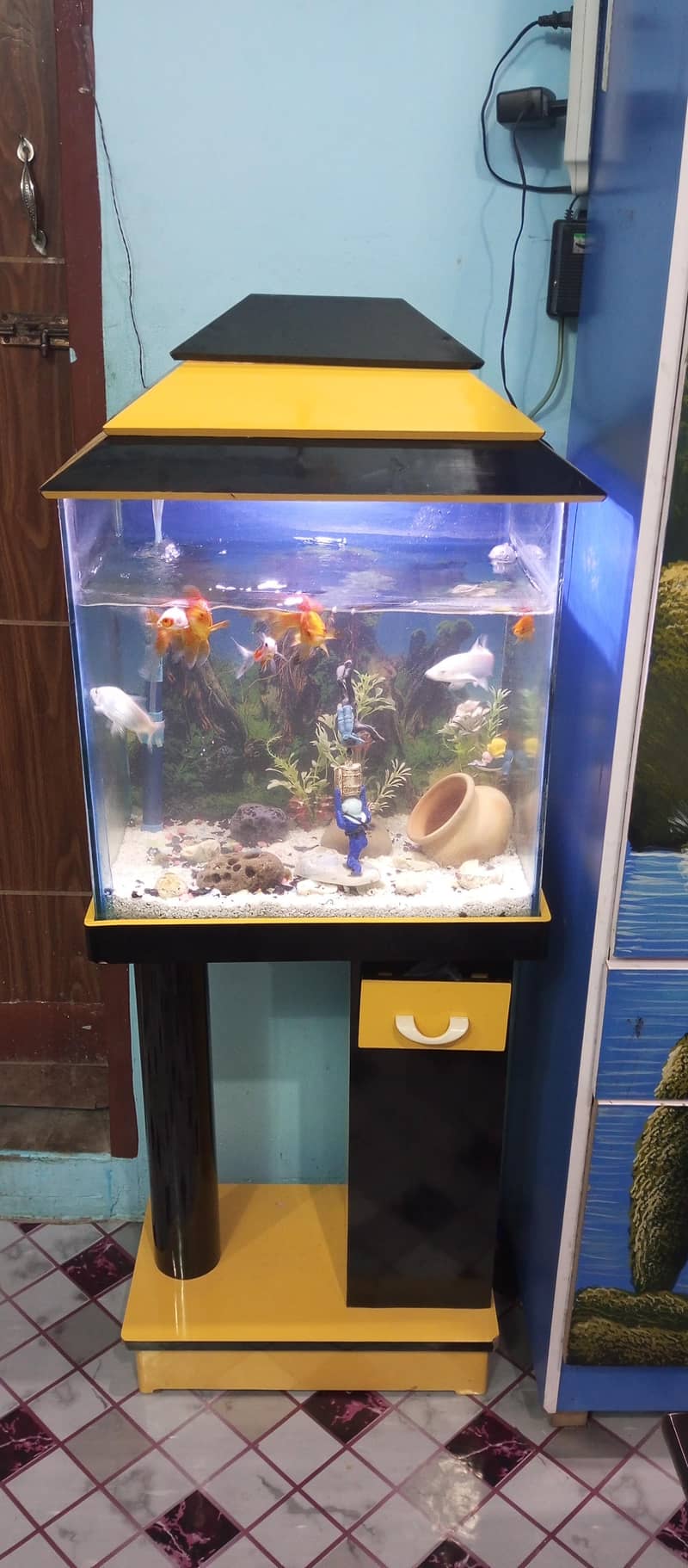 aquarium setup 2