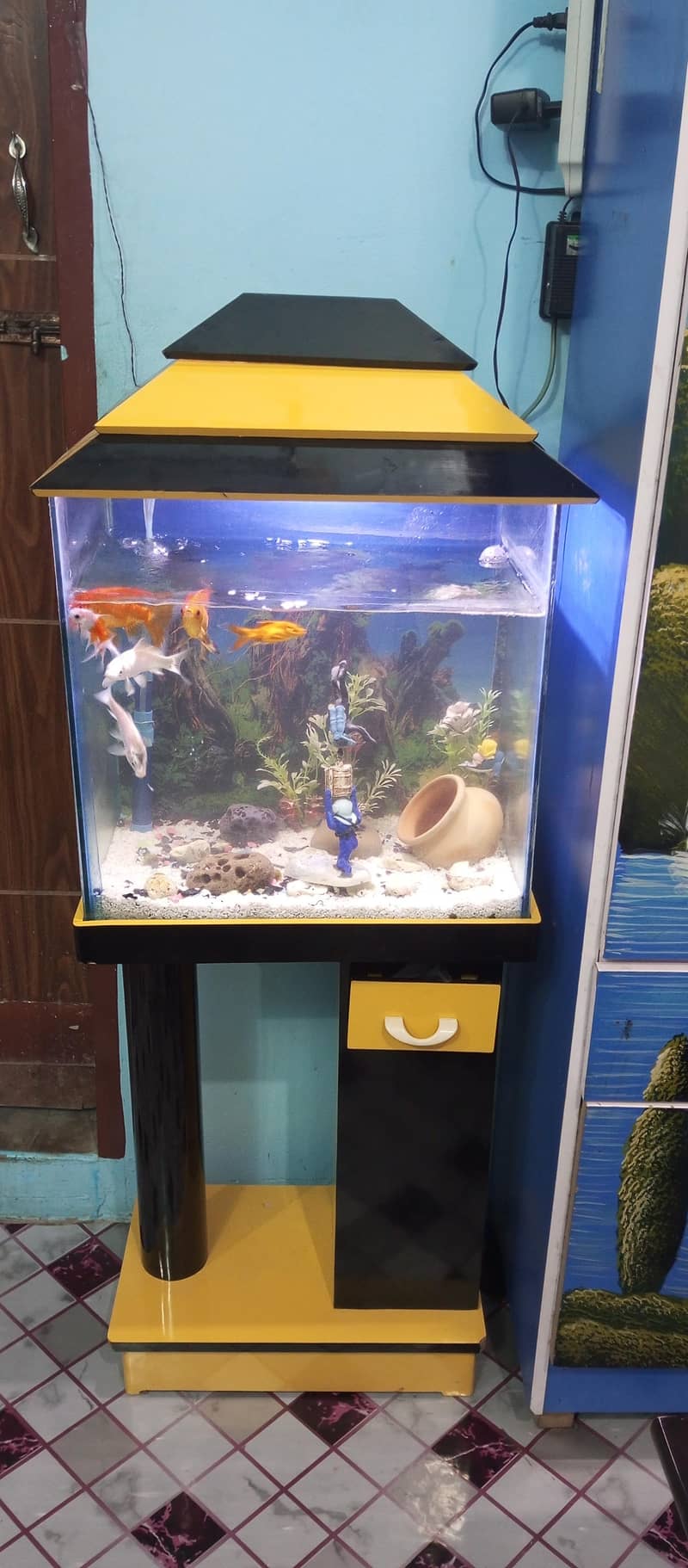 aquarium setup 3