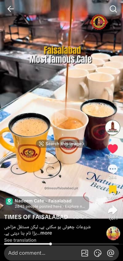 customized chai cup balk in quantity ma chai ha
