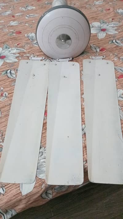 Madni Ceiling Fan