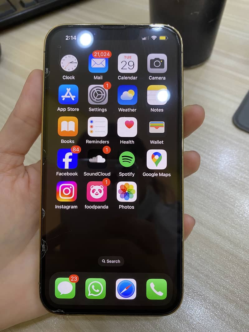 Apple iPhone 13 Pro 1
