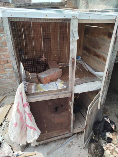5 cages for sale 0303.8868142