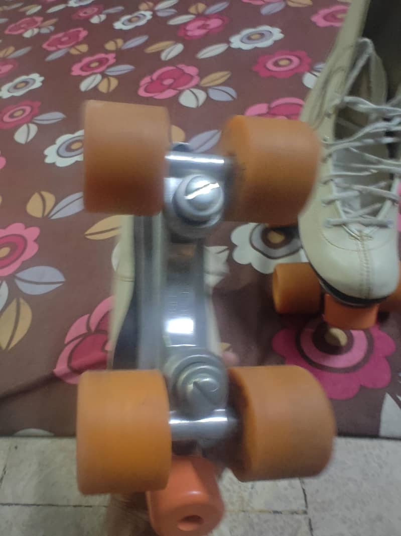 skating shoes 2