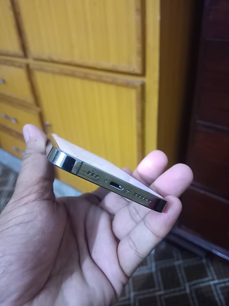 Apple iPhone 13 Pro 2