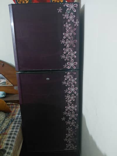 PEL medium size 7/8 years used