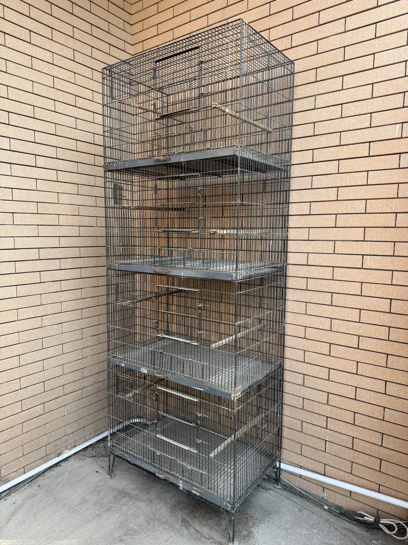 Parrot Cage for Sale | Size 2.5 × 1.5 × 1.5 Whatsapp only 0320-8104949 — photo 2
