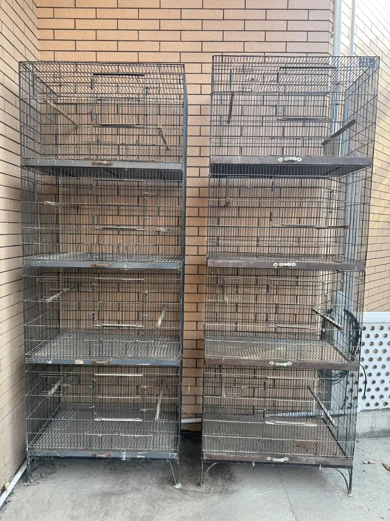 Parrot Cage for Sale | Size 2.5 × 1.5 × 1.5 Whatsapp only 0320-8104949 — photo 3