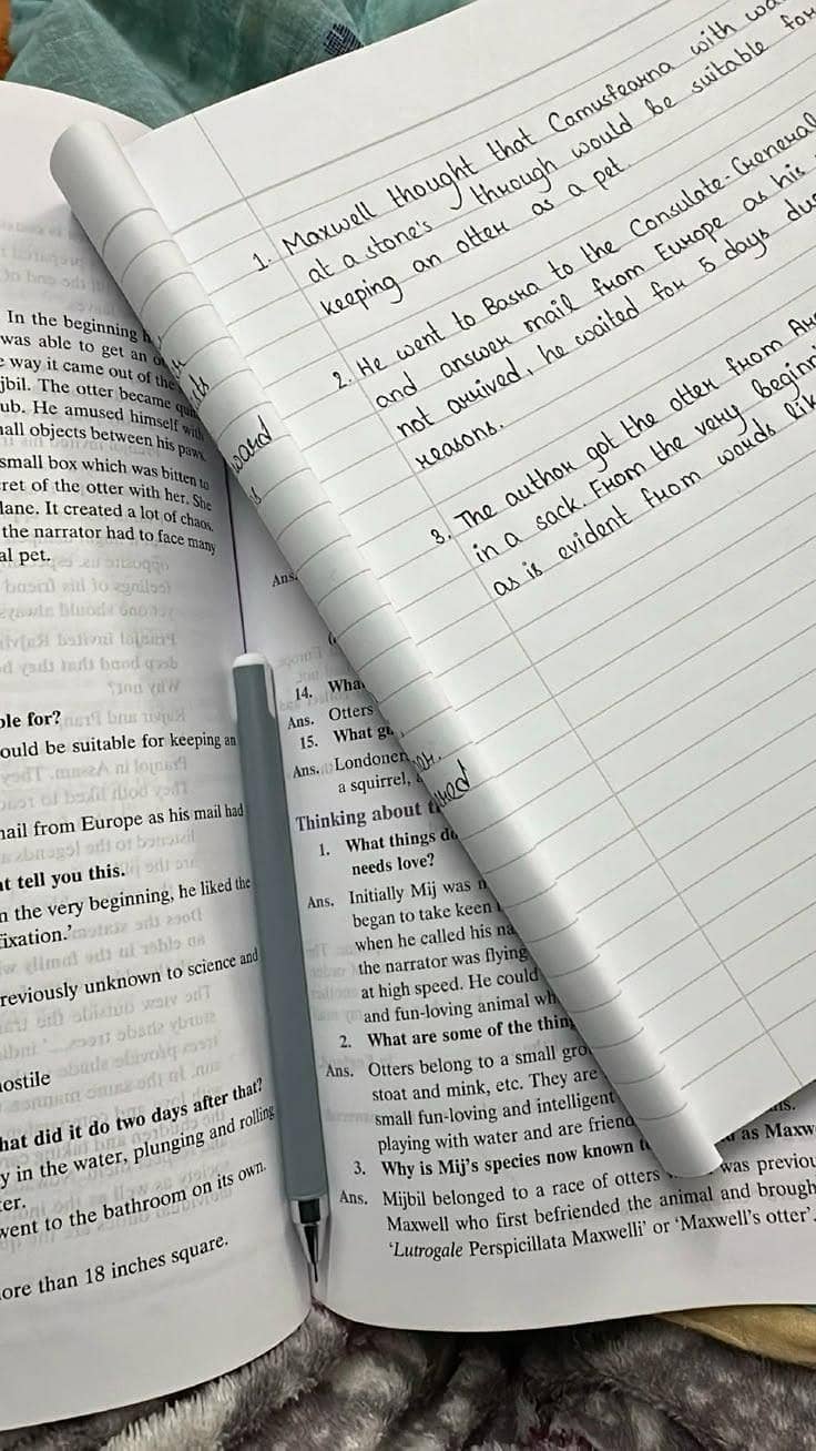 Assignment Writing & Typing Services Available 0