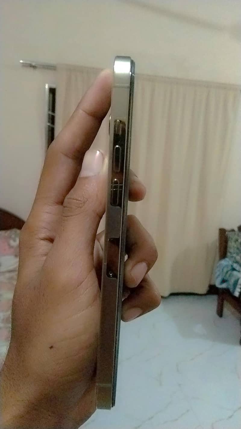 Apple iPhone 12 Pro Max 1