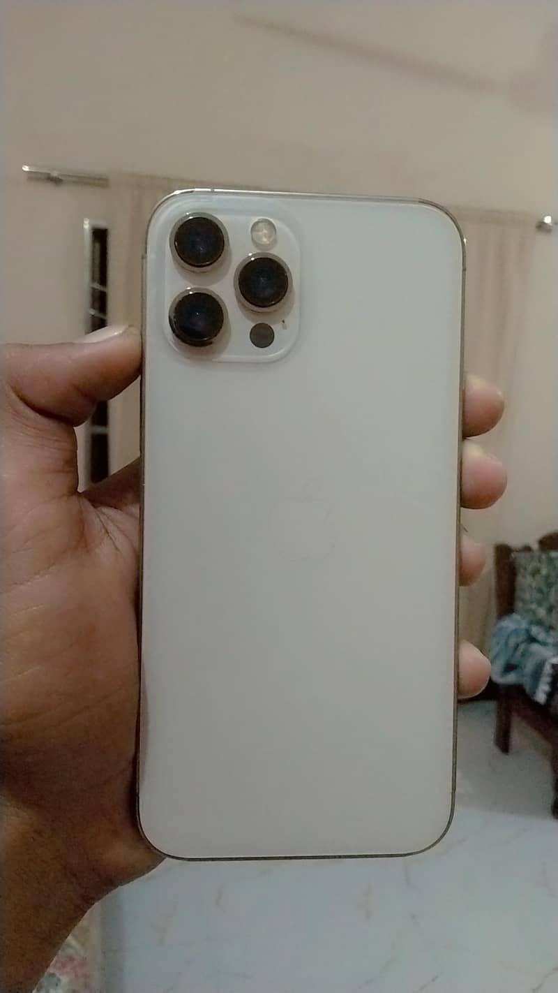 Apple iPhone 12 Pro Max 2