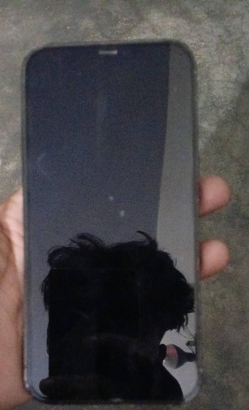 Apple iPhone 12 Pro Max 1