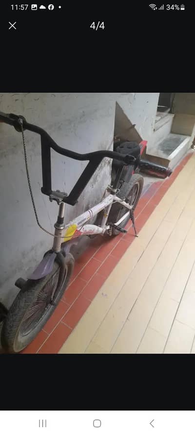 fat bike