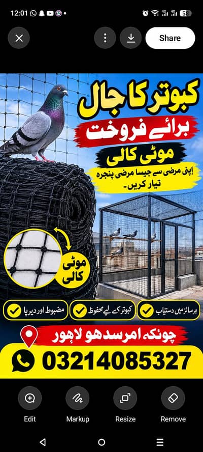 راجن پوری بکرہ
