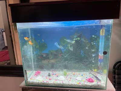 2.6 feet aquarium/ Read add