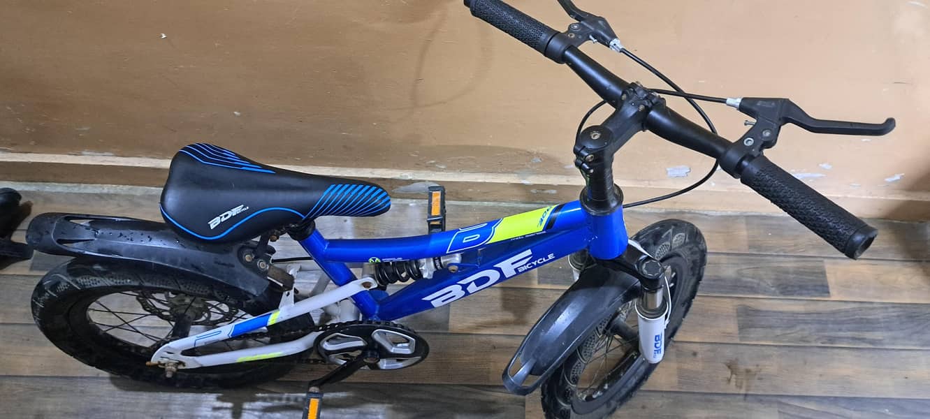 BDF bicycle 0