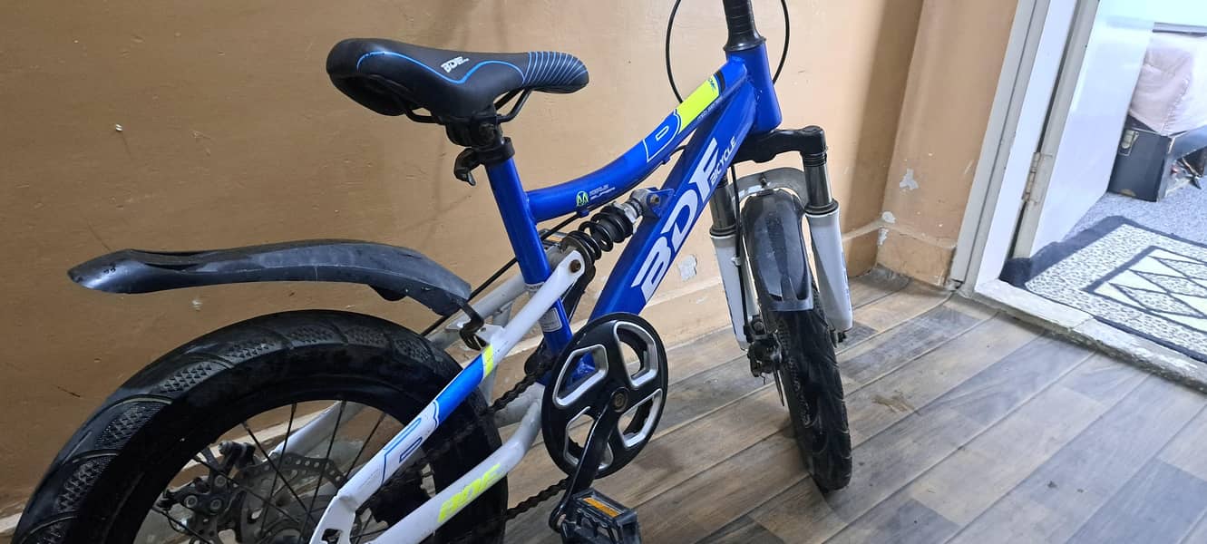 BDF bicycle 1