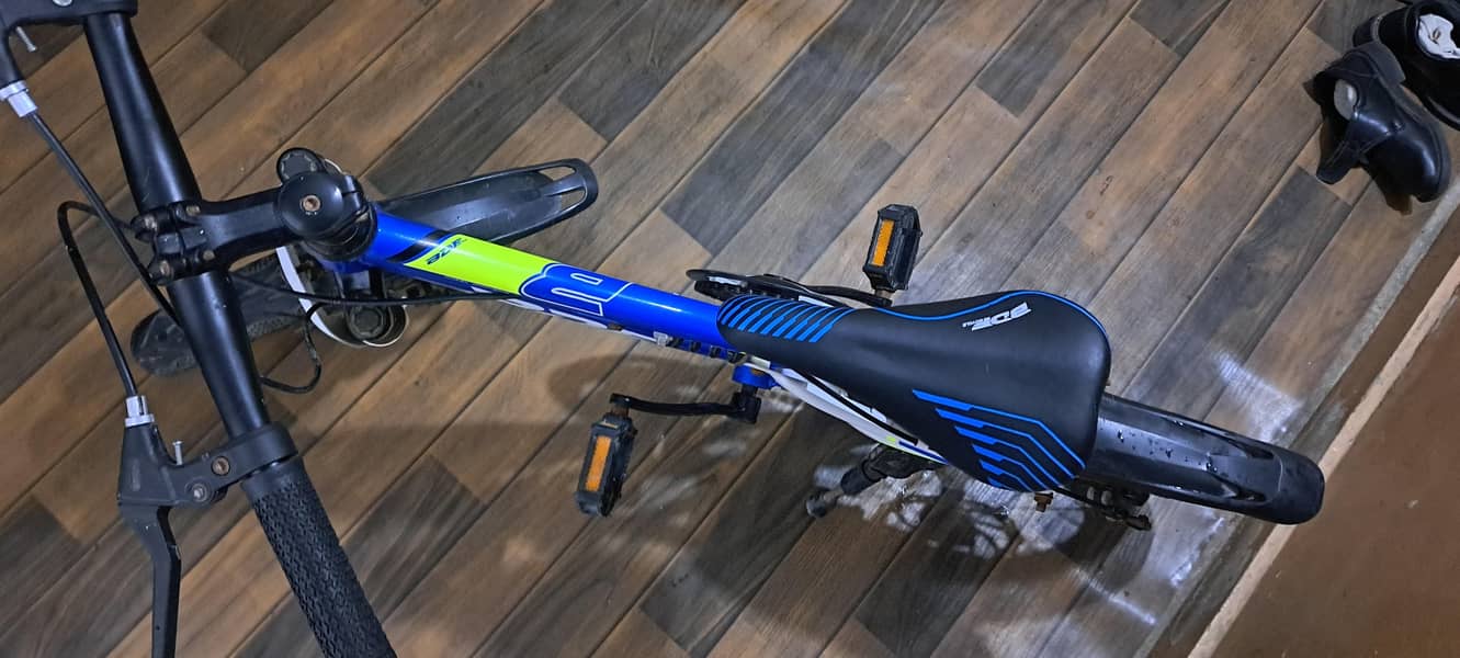 BDF bicycle 2