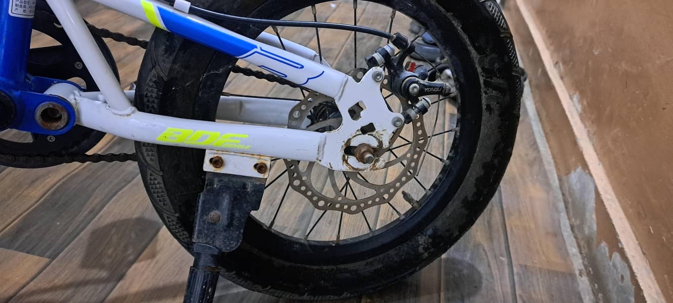 BDF bicycle 3