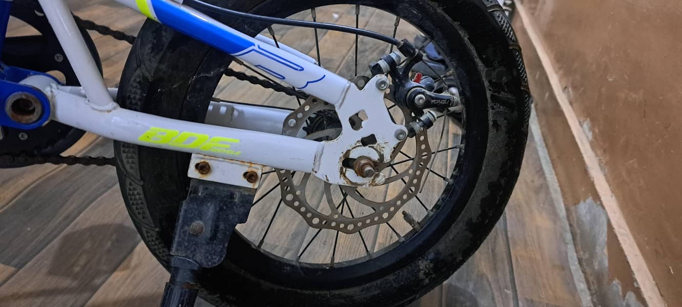 BDF bicycle 4