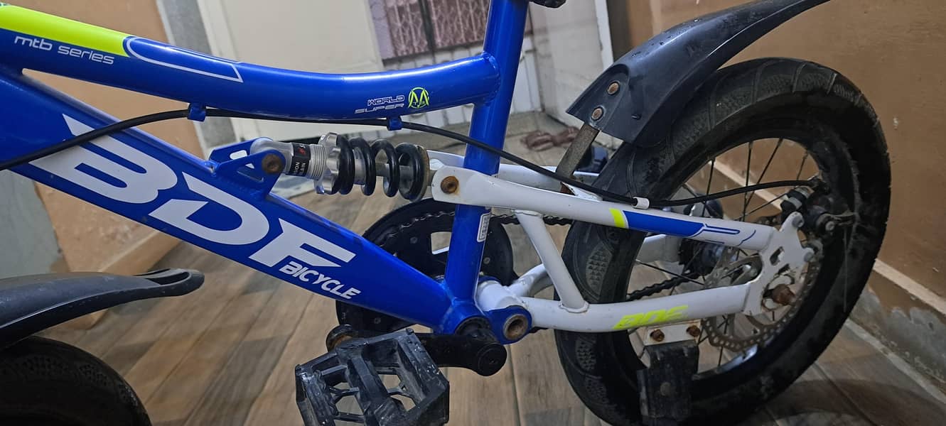 BDF bicycle 5