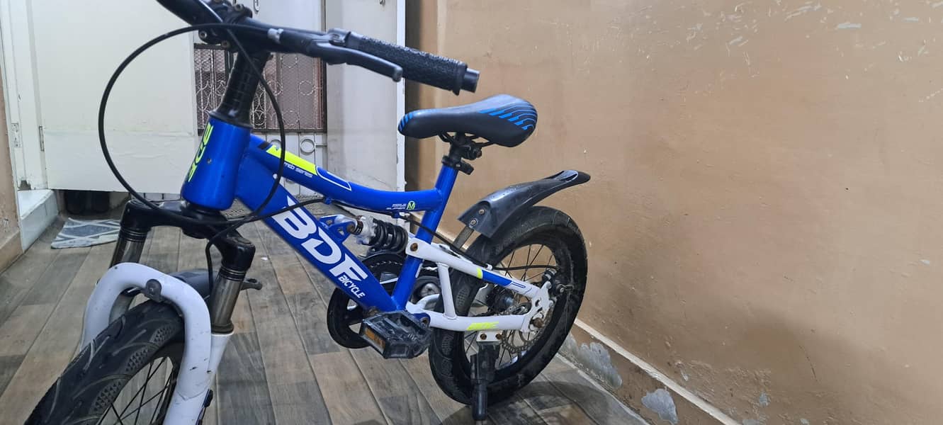 BDF bicycle 6