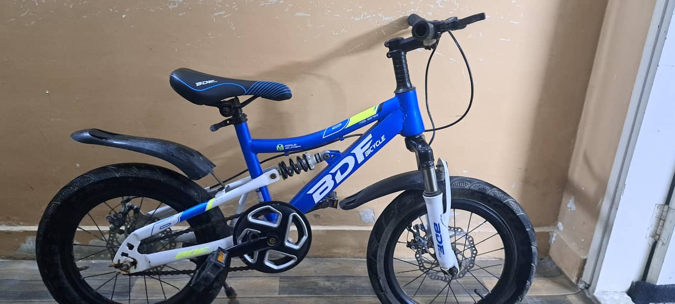 BDF bicycle 7