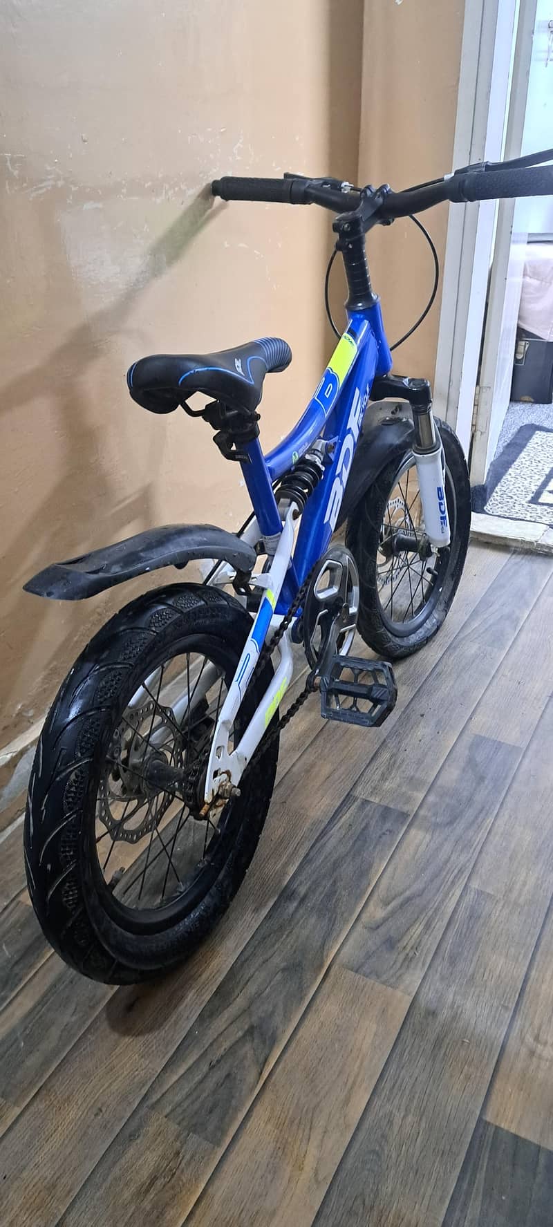 BDF bicycle 8