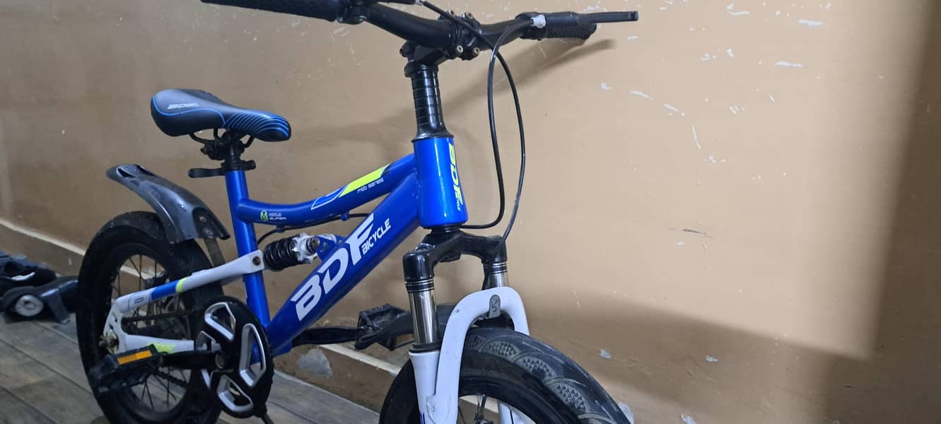 BDF bicycle 9